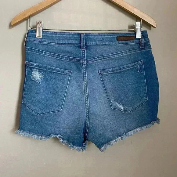 Articles of Society High Rise Distressed Shorts Size 28 - Picture 8 of 8